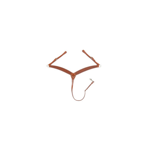 PETTORALE BORDER STAMP POOL'S - immagine 2