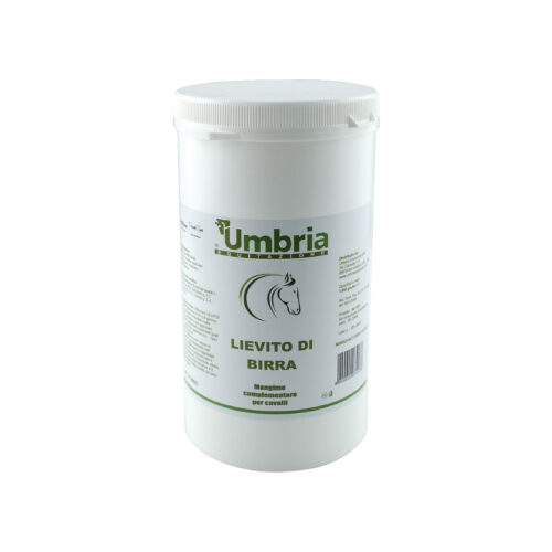 AMA YEAST LIEVITO DI BIRRA (1 KG) - immagine 2