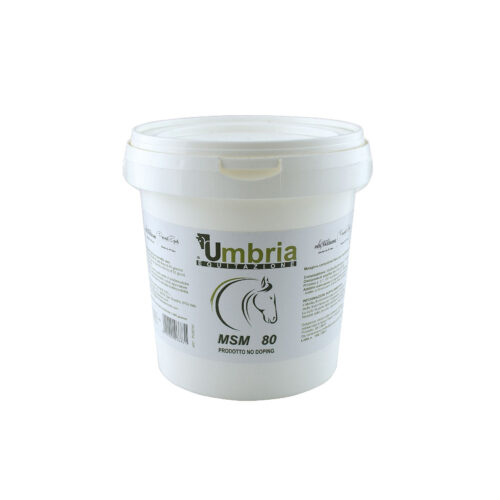 MSM (1.2 KG) - immagine 2